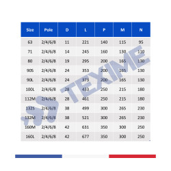 Moteurs triphasés MOT-4kW-1000-B5-132-145